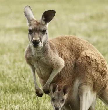 632023abd265a224c46cc527