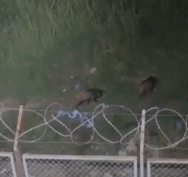 Ekran görüntüsü 2022-09-16 115047