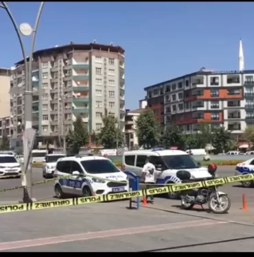 IMG_20220818_133936-1024x594