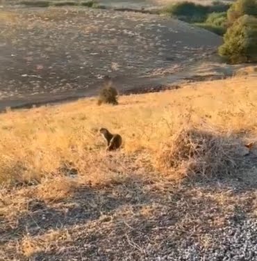 WhatsApp Image 2022-09-23 at 14.28.30