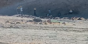 batman-seyitler-mahallesi