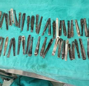 kasik-yutan-adam-1924061_2