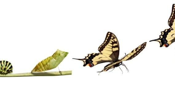 Nereden başlasak? Nereden başlasak?