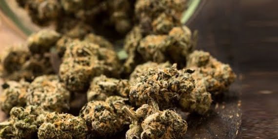 Batman’da uyuşturucu operasyonu: 22 kilo skunk ele geçirildi