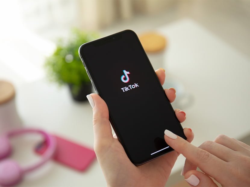 TikTok yasağına Fransa da katıldı