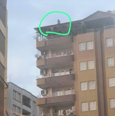 WhatsApp Image 2022-10-14 at 21.14.12