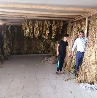 WhatsApp Image 2022-10-17 at 14.37.16