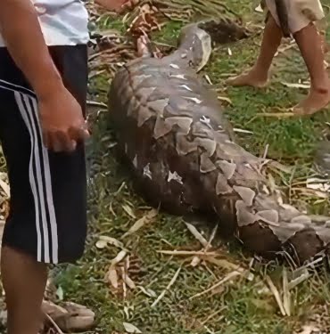 photo-2021-08-27-16-50-50-eErQ