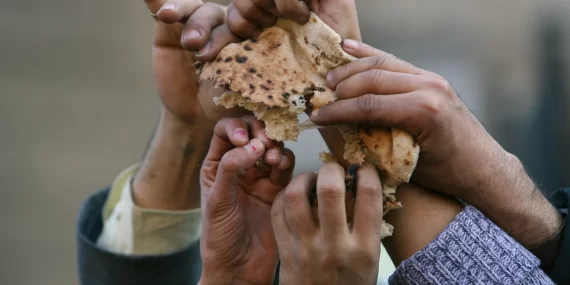 Neydik ne olduk Neydik ne olduk