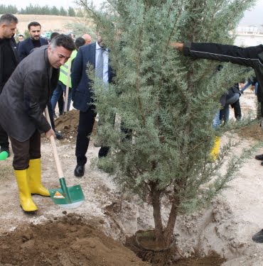 WhatsApp Image 2022-11-11 at 16.45.26