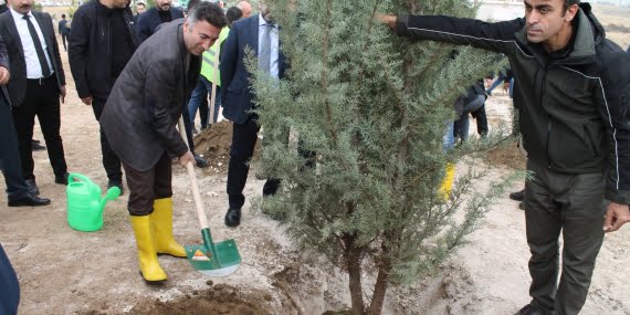 Batman’da 20 bin fidan toprakla buluşturuldu