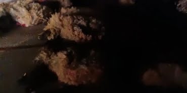 WhatsApp Image 2022-11-14 at 20.48.11