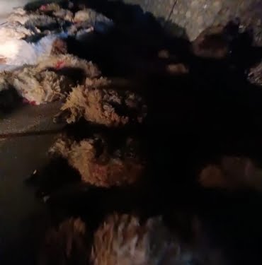 WhatsApp Image 2022-11-14 at 20.48.11