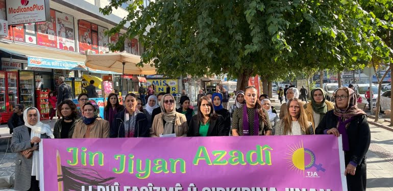 WhatsApp Image 2022-11-15 at 13.28.31