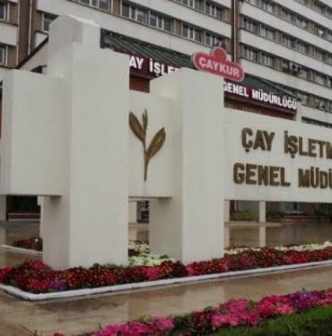 caykur-2021-yili-donemi-503-8-milyon-zarar-etti_amp