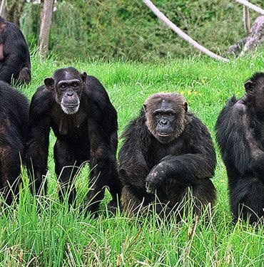 1585934010_12fe3170b77057bb6af5079f9844b62e