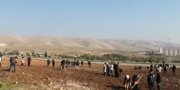 WhatsApp Image 2022-12-09 at 15.19.46