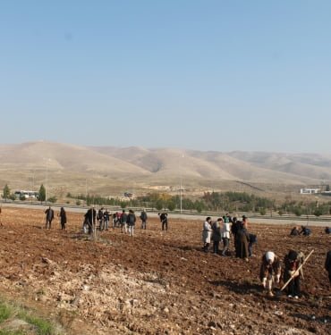 WhatsApp Image 2022-12-09 at 15.19.46