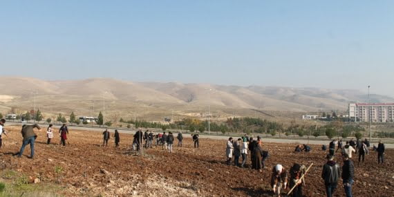 Hayatını kaybeden sağlık çalışanları anısına 5 bin fidan dikildi