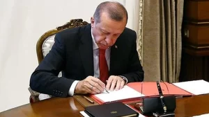 erdoğan resmi