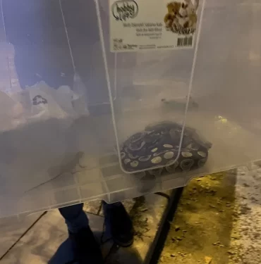 kZ4GRLkRAECW0brXRs7USw