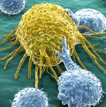 bd577f6920e5841c3024afcc23d1476d