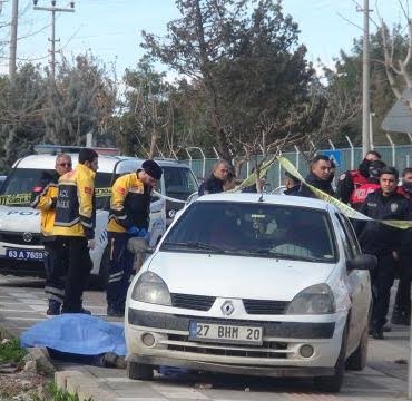 16754527061647830352