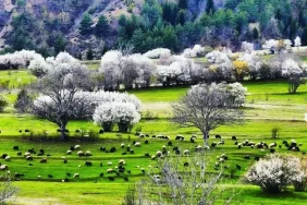 5cc6d276c03c0e31841ab890