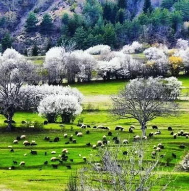 5cc6d276c03c0e31841ab890