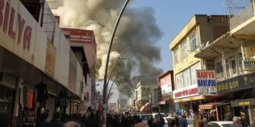 WhatsApp Image 2023-02-20 at 12.07.09