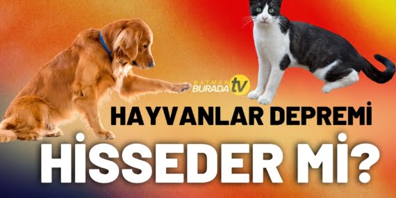 HAYVANLAR DEPREMİ ÖNCEDEN HİSSEDER Mİ?