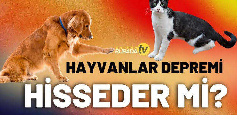 youtubekapak (13)