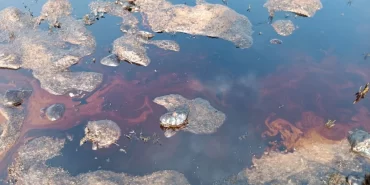 095351068-06ccab1c08bda4561843249c10e138f4