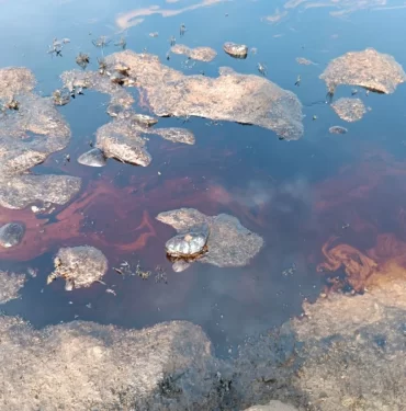 095351068-06ccab1c08bda4561843249c10e138f4