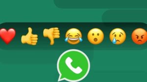 6322tzSyAZ0H_emoji1