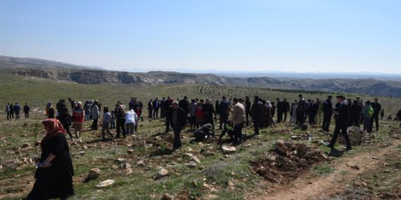 Batman’da fidanlar; depremde hayatını kaybeden vatandaşlar anısına toprakla buluştu