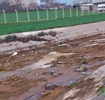 Ekran görüntüsü 2023-03-24 173426