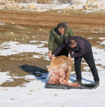 Hayvanlara Mama Görsel 1