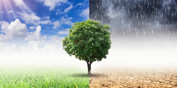 Mart ayında bekleniyordu. Barajlar boş kaldı Mart ayında bekleniyordu. Barajlar boş kaldı