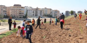 Minikler Fidan Dikti Görsel 1