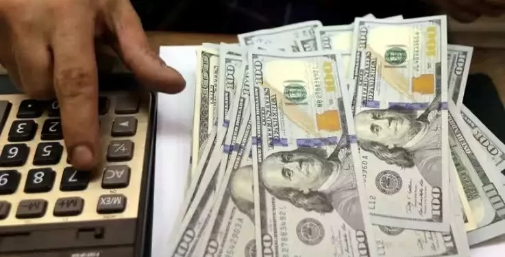 dolar ekonomi