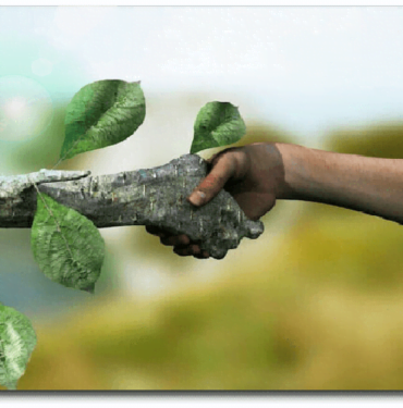 importaciaeducacionambient0