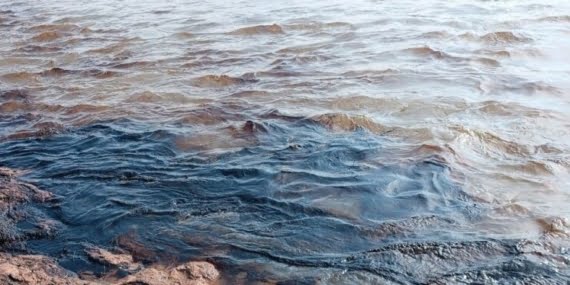 TMMOB Çevre Mühendisleri Odası Diyarbakır Şube: Batman’daki petrol sızıntısının sebebi ihmal ve denetimsizlik