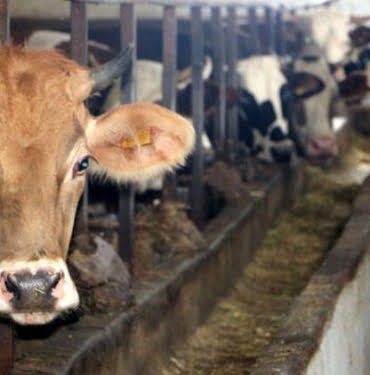 642fe09550acca31e0a5799f