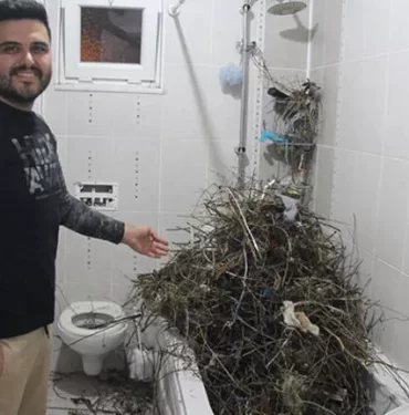 643e4e7986b247056419e88b