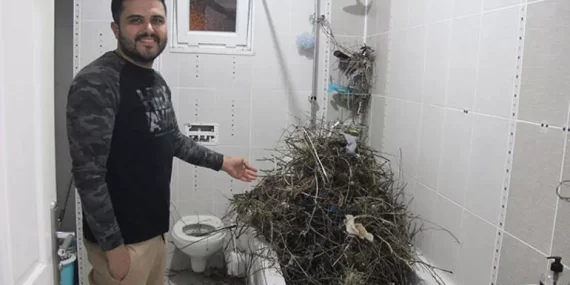 Kargalar ev sahibini şaşkına çevirdi