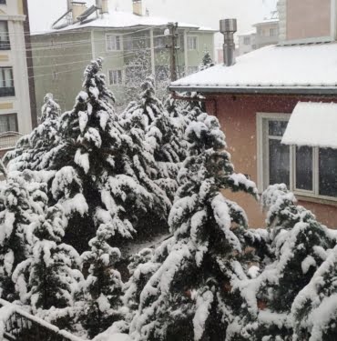 WhatsApp Image 2023-04-01 at 12.20.54