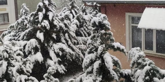 Van’da 83 yerleşim yeri kar nedeniyle ulaşıma kapandı