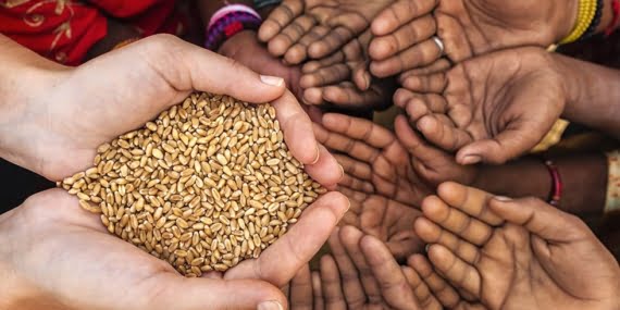 Maddi ve manevi zekatlar Maddi ve manevi zekatlar