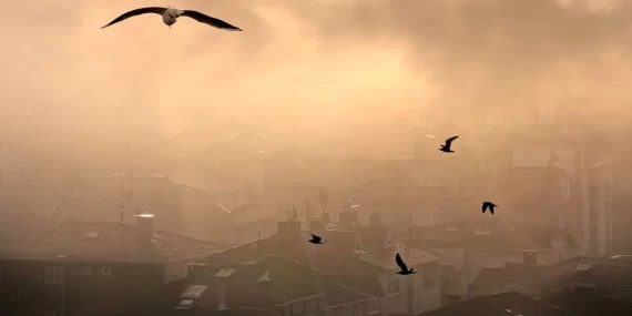 Batman yıllardır sürdürdüğü liderliği kaptırmaya niyeti yok!